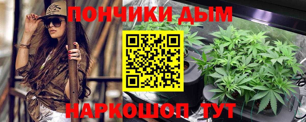 Шишки марихуана сатива Тольятти